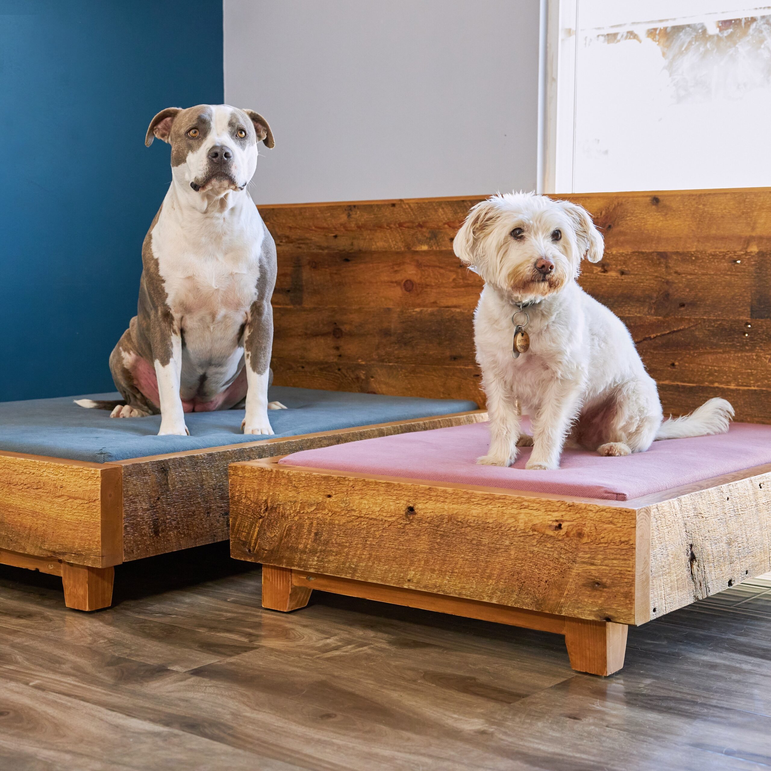 AvocadoGreenMattressDogBedPetFrame1